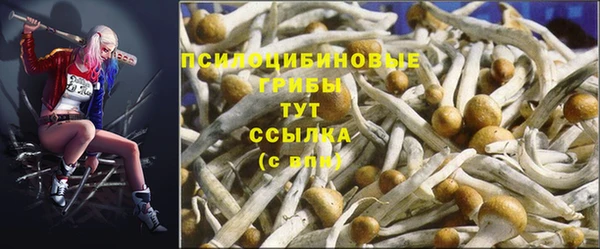 соль ск Володарск